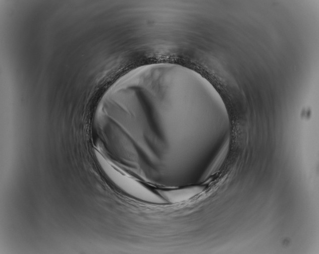 X0000098050039200804181335