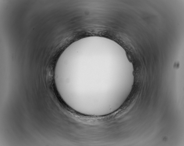 X0000098050040200804181335