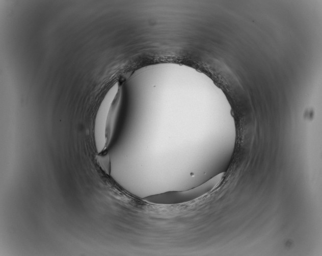 X0000098050041200804181335