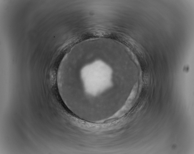 X0000098050043200804181335