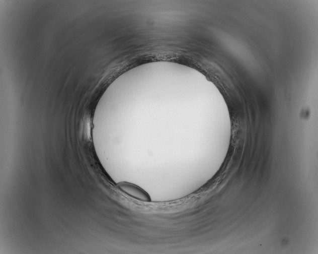 X0000098050046200804181335