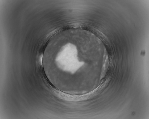 X0000098050047200804181335