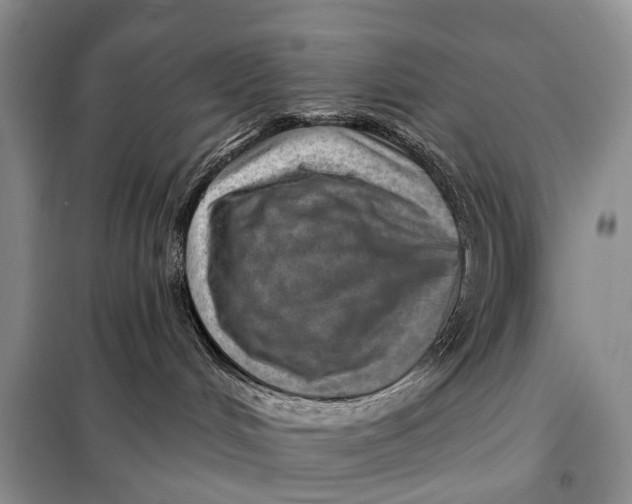 X0000098050048200804181335