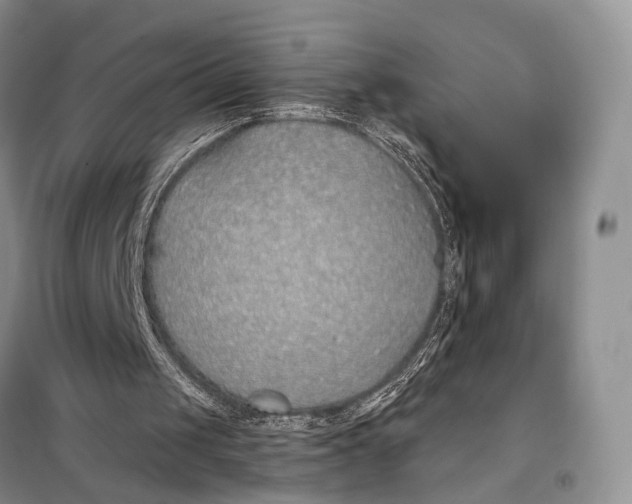 X0000098050049200804181334