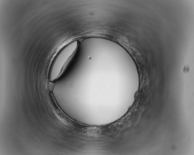 X0000098050050200804181334