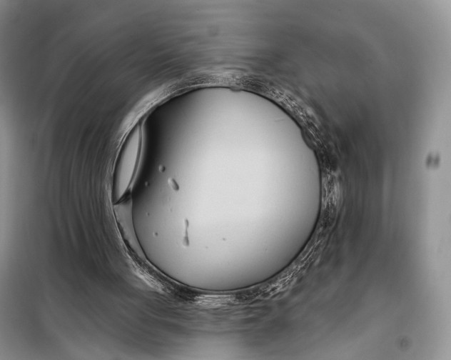 X0000098050051200804181334