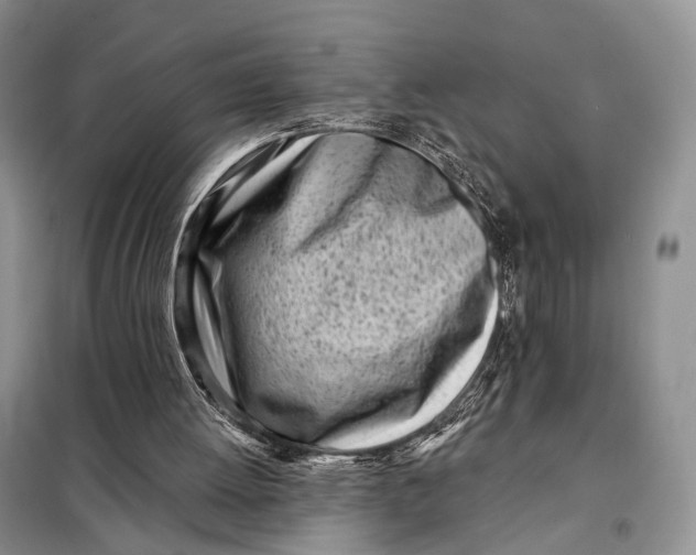 X0000098050052200804181334