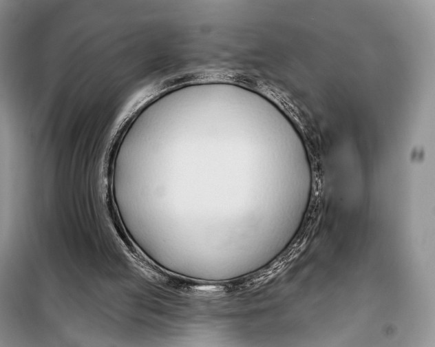 X0000098050053200804181334