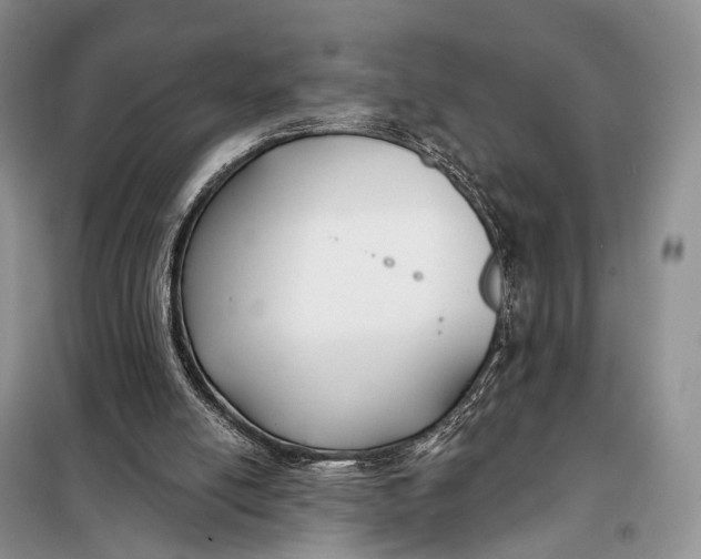 X0000098050054200804181334