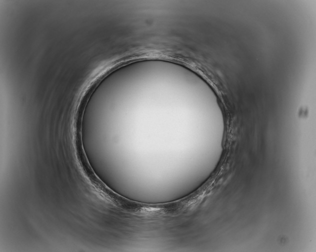 X0000098050055200804181334