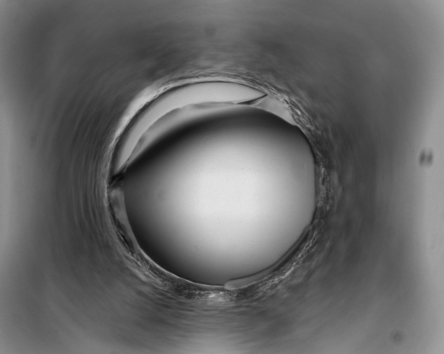 X0000098050056200804181334