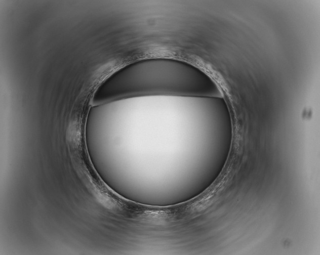 X0000098050057200804181334