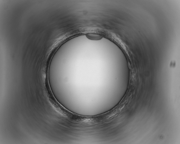 X0000098050059200804181334