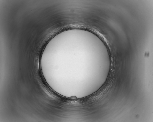 X0000098050061200804181334