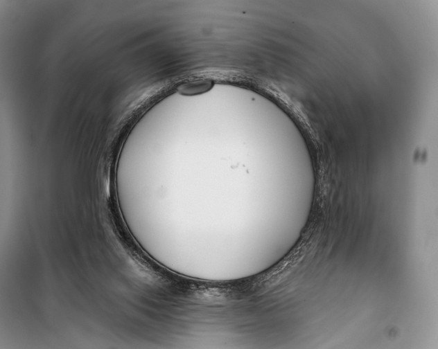 X0000098050062200804181334