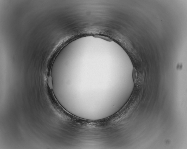 X0000098050064200804181334