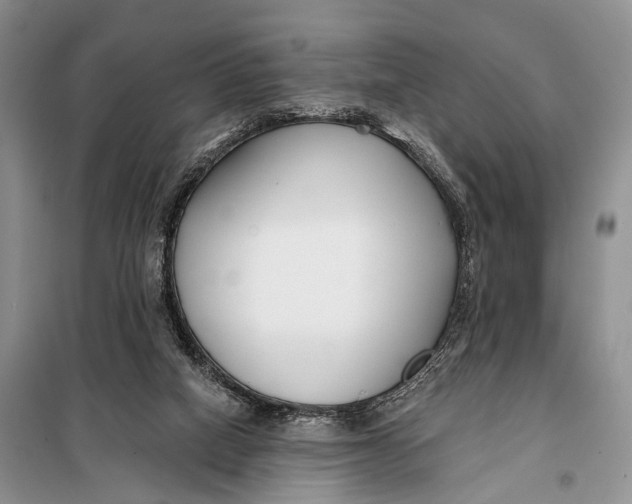 X0000098050066200804181334