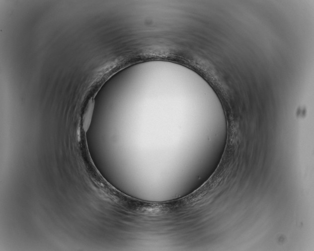 X0000098050068200804181334