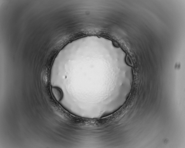 X0000098050069200804181334