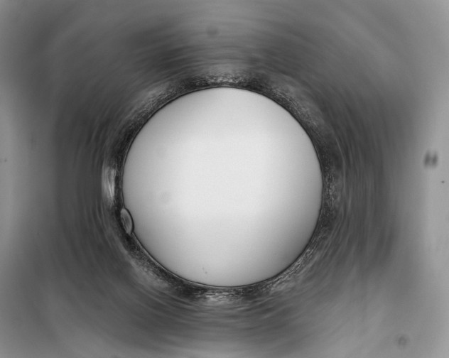 X0000098050070200804181334