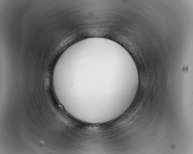 X0000098050071200804181334