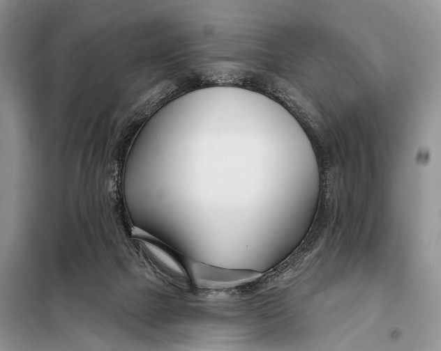 X0000098050073200804181334