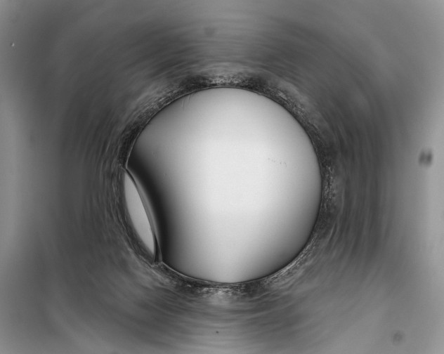 X0000098050074200804181334