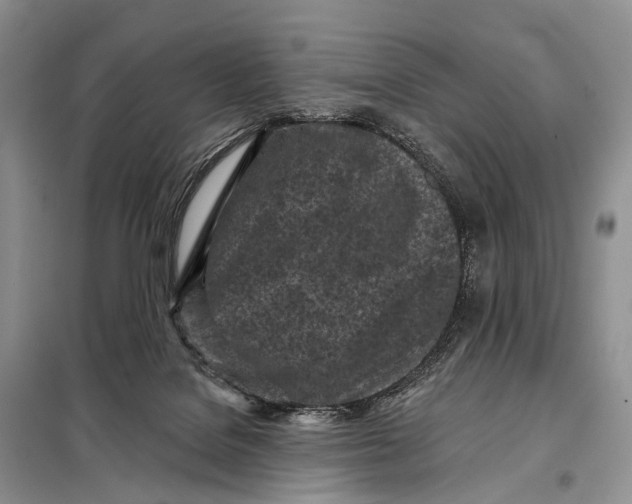 X0000098050076200804181334