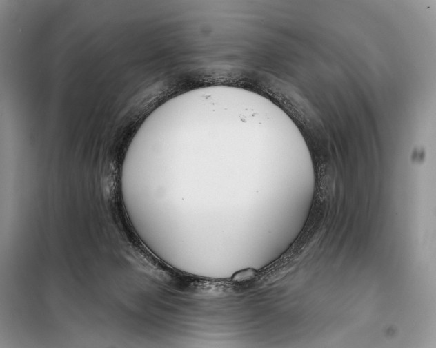 X0000098050077200804181334