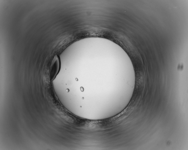 X0000098050078200804181334