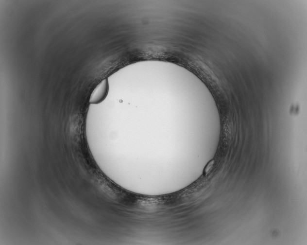 X0000098050079200804181334