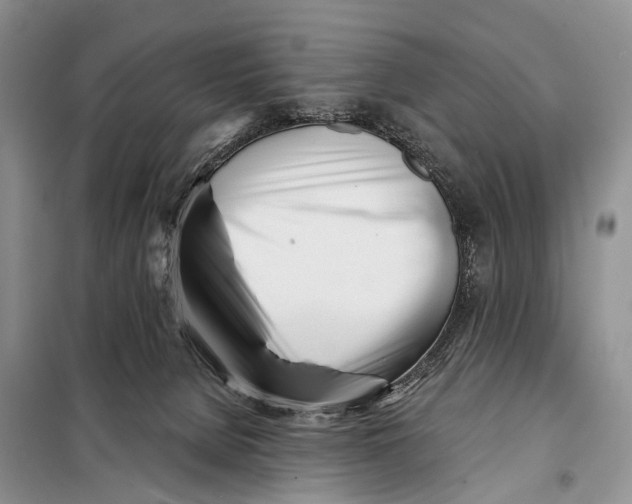 X0000098050080200804181334