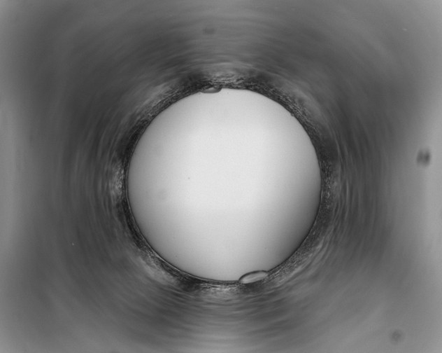 X0000098050081200804181334