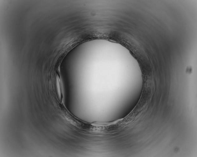 X0000098050084200804181334