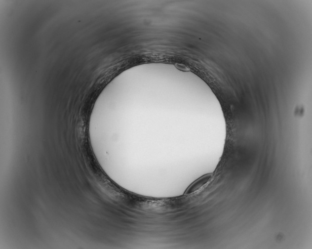 X0000098050086200804181334