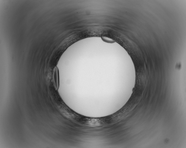 X0000098050091200804181335