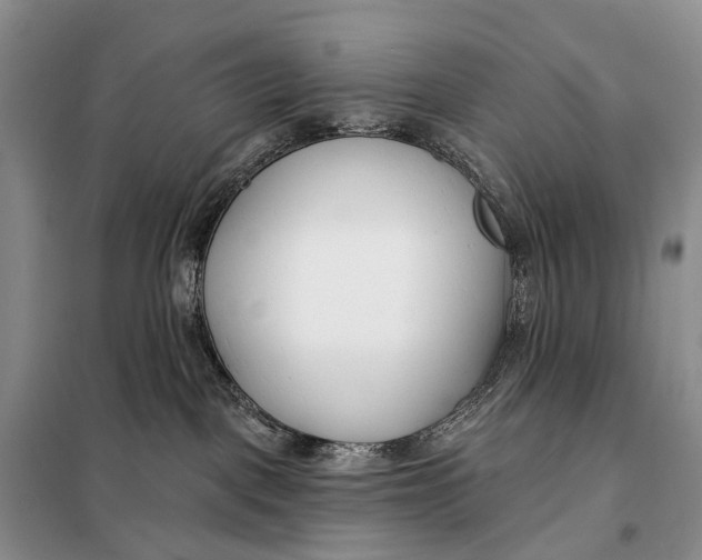 X0000098050093200804181335