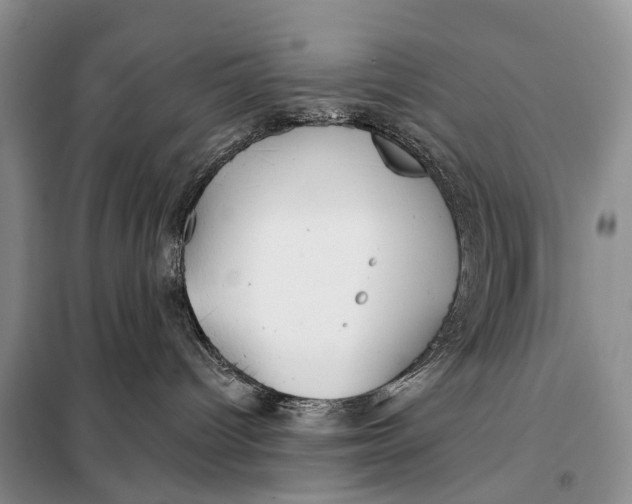 X0000098050096200804181335