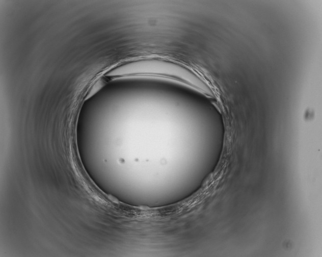 X0000098050097200804181334