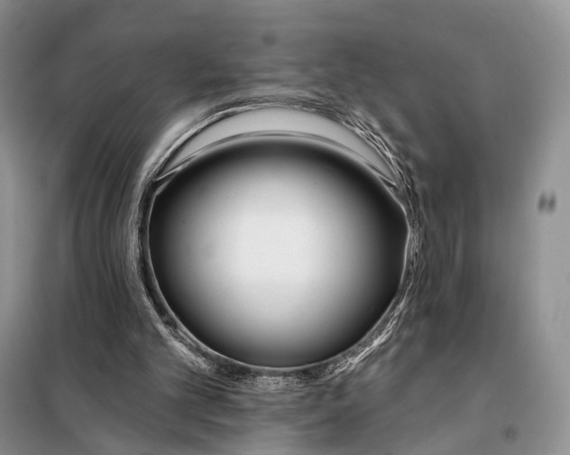 X0000098050101200804181334