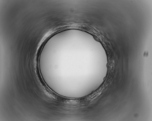 X0000098050102200804181334