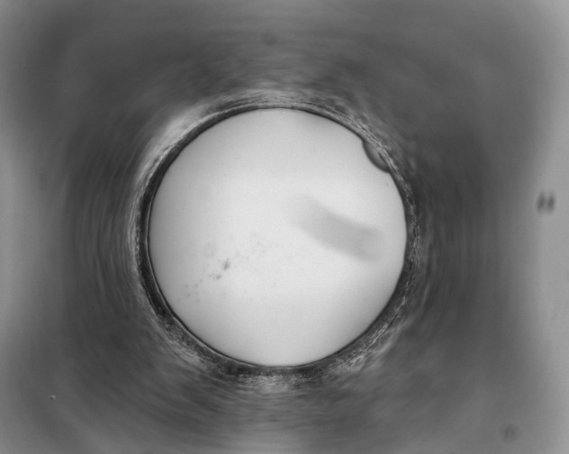 X0000098050103200804181334