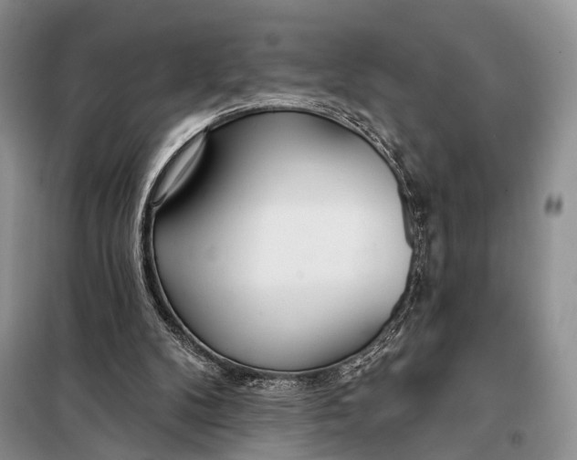 X0000098050104200804181334