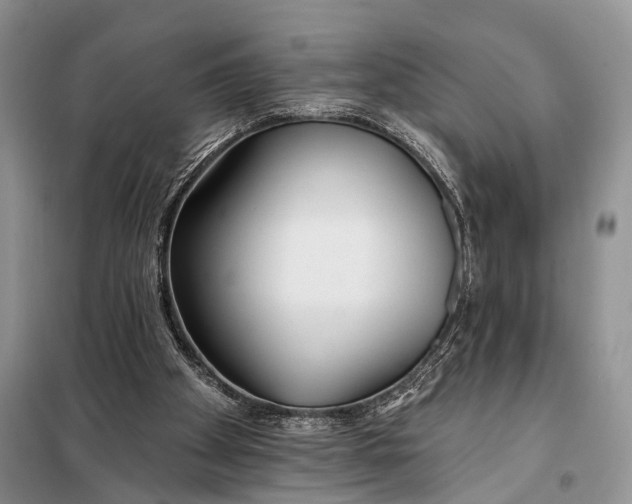 X0000098050105200804181334