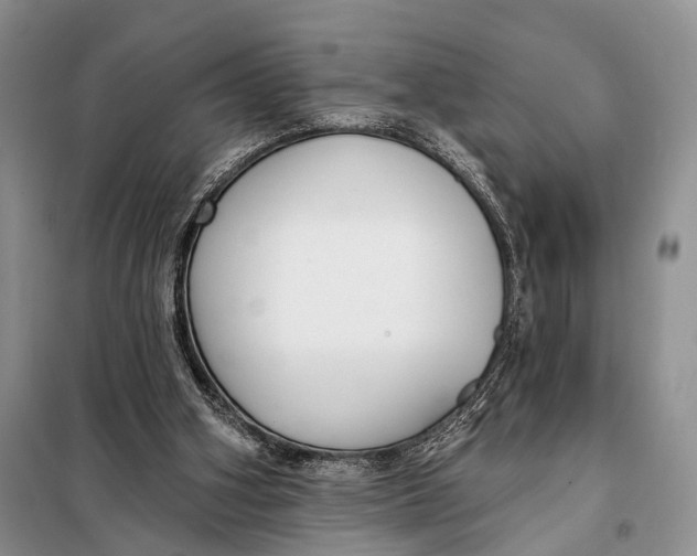 X0000098050106200804181334