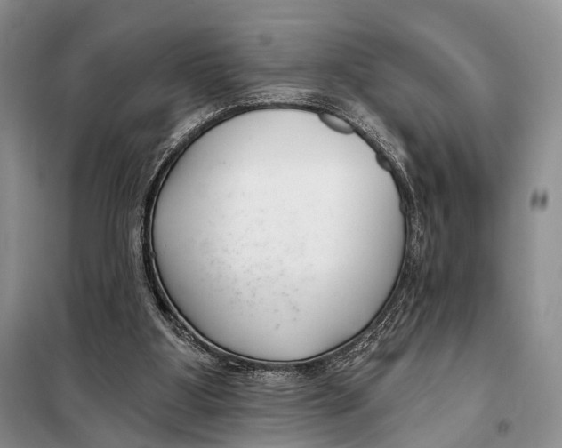 X0000098050107200804181334