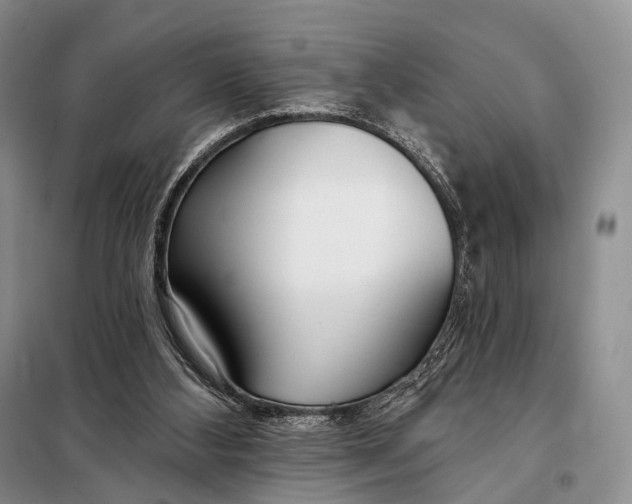 X0000098050108200804181334