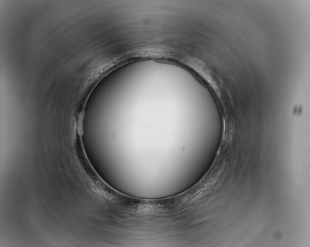 X0000098050109200804181334