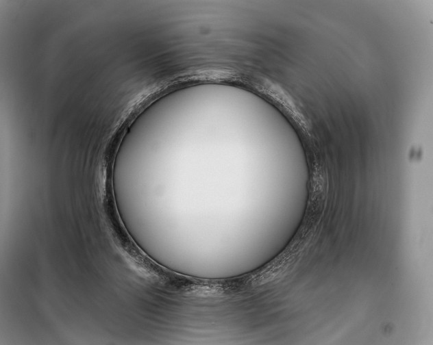 X0000098050110200804181334