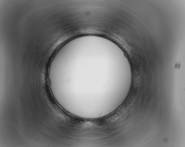 X0000098050111200804181334